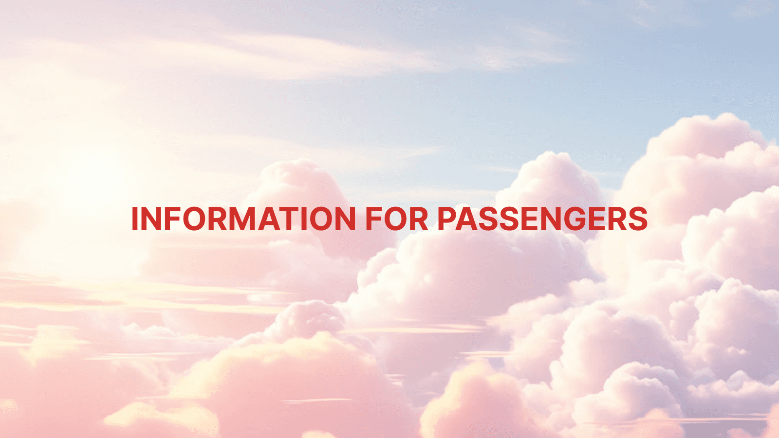 Information for passengers who purchased tickets before November 11, 2025